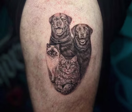 Micro realism tattoo of two dogs and a cat stacked in a portrait