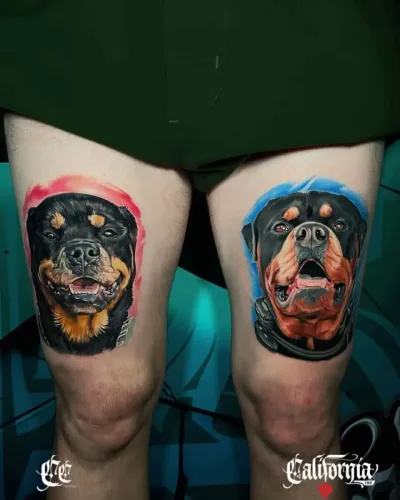 color-realism-rottweiler-portrait-thigh-tattoos-california-ink.jpg
